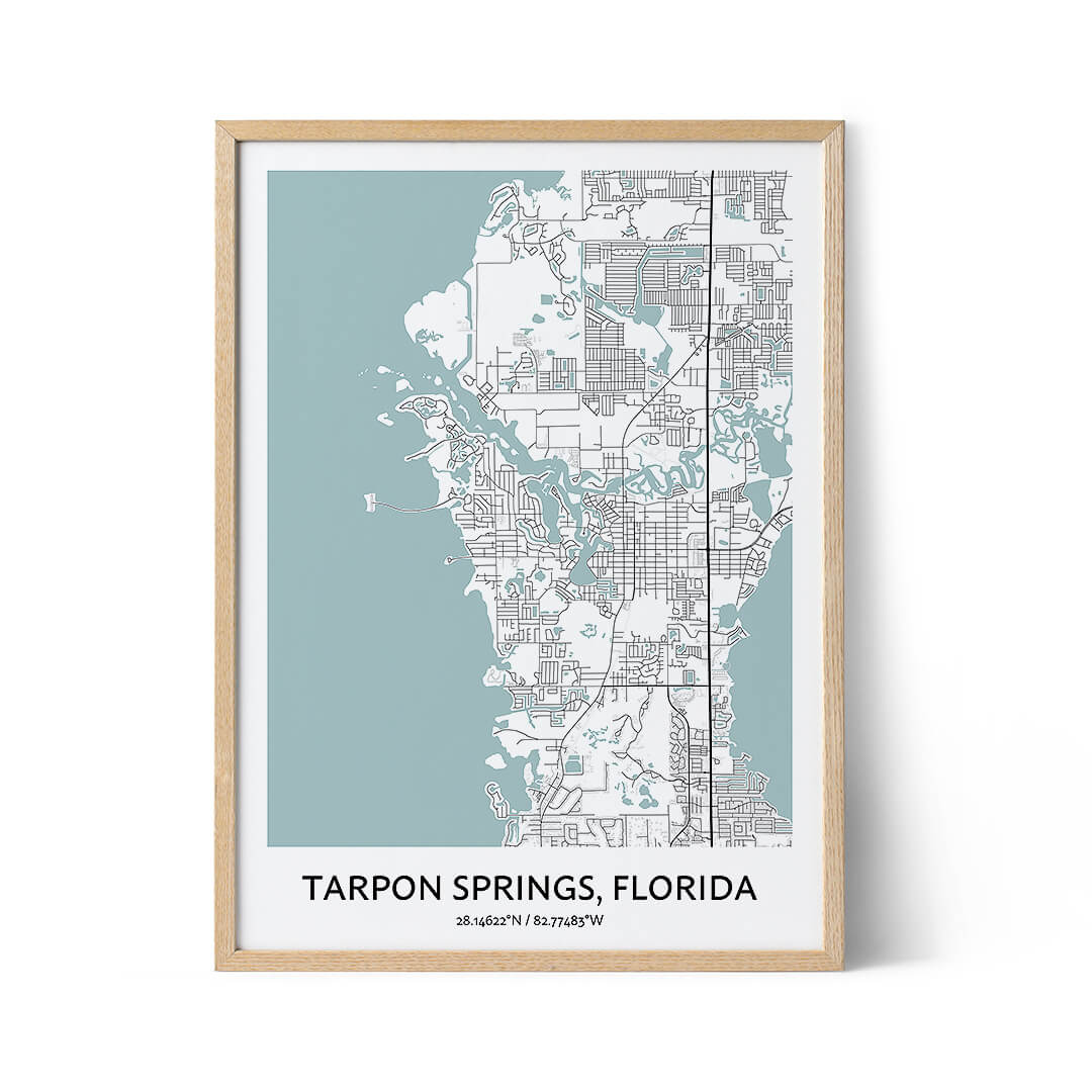 Tarpon Springs city map poster