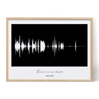memorial voice soundwave art