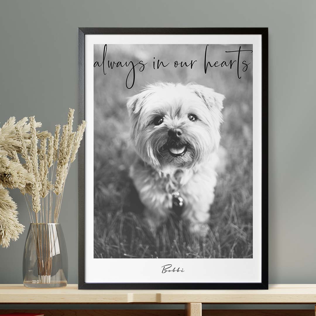 Personalized pet memorial print featuring a beloved dog with the message "Always in Our Hearts."