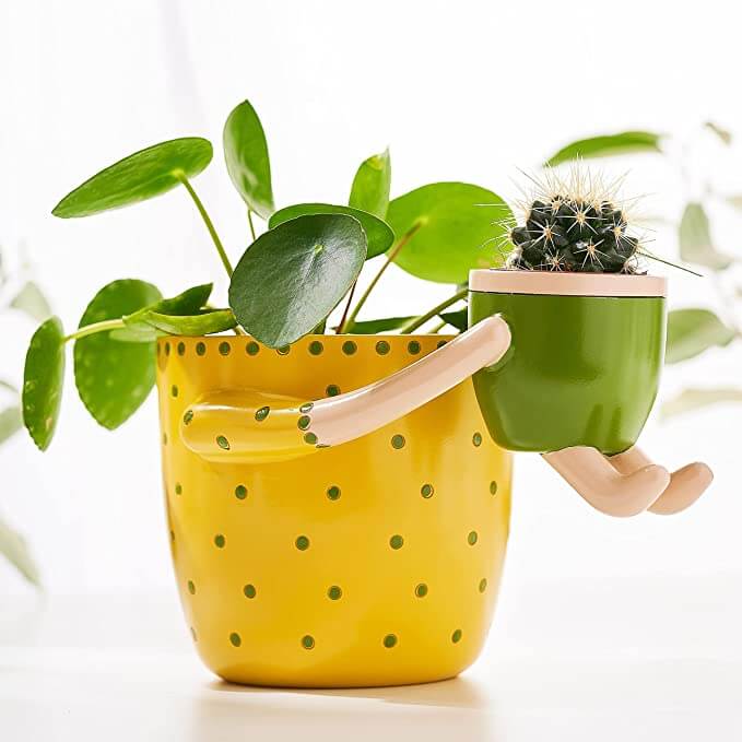 Funny Mothers Day Gifts for Friends - silly plant pot