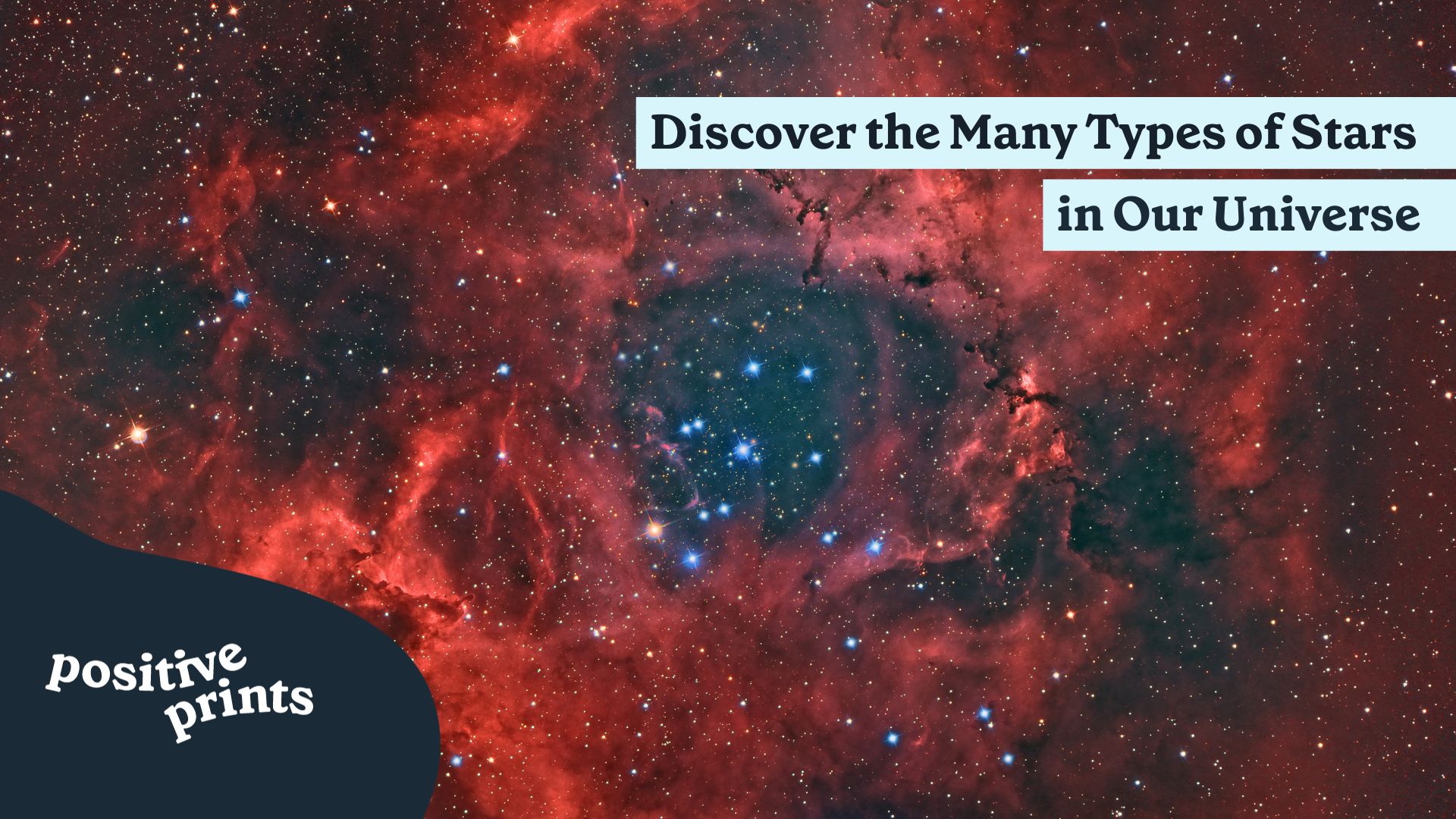 Discover the Many Types of Stars in Our Universe