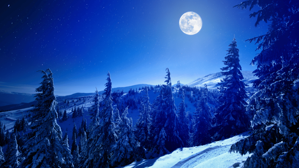 full moon frosty trees