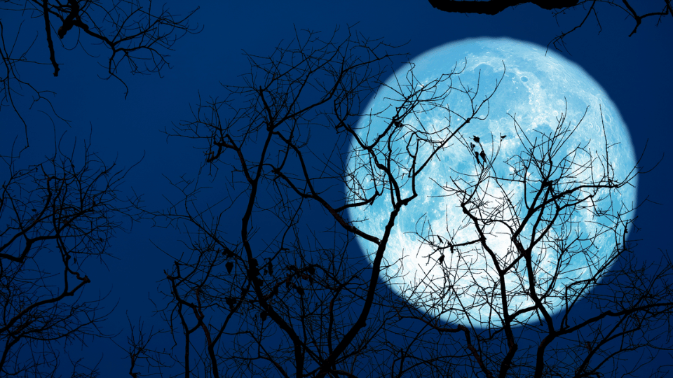 blue full moon