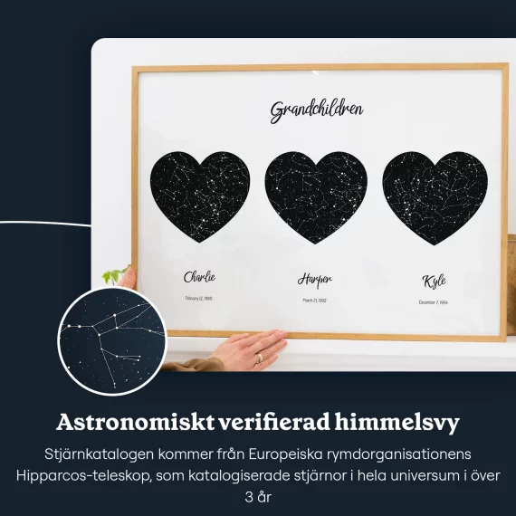 SE_sky view_Grandkids Triple Star Map
