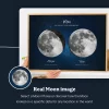 Two Moons for Mom 5