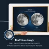 Two Moons for Mum 5
