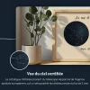 Amour sous la lune et les étoiles 5