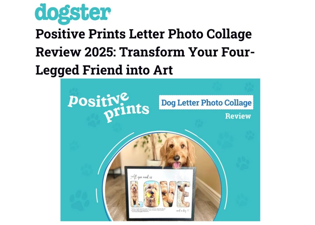 Dogster Dog Letter Photo Collage Review Positive Prints