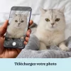 FR_03_Portrait Personnalisé de Chat