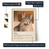 DE_01_Katze: Poster mit Definition
