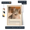 EN_01_Cat Definition Poster