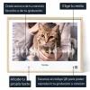 ES_01_Arte con la onda de sonido del maullido de tu gato