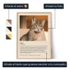ES_01_Póster de definición de gato
