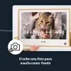 ES_03_Arte con la onda de sonido del maullido de tu gato