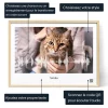 FR_01_Affiche onde sonore miaulement de chat