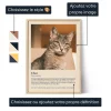 FR_01_Définition de Chat – Affiche personnalisée