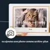 FR_03_Affiche onde sonore miaulement de chat