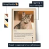 IT_01_Poster con la definizione di Gatto