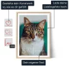 DE_01_Katzen-Foto-Wandkunst