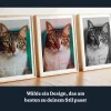 DE_02_Katzen-Foto-Wandkunst
