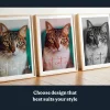 EN_02_Cat Photo Wall Art