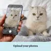 EN_03_The Royal Couple – Custom Cat Portrait