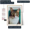 ES_01_Arte fotográfico de gato