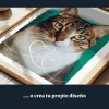 ES_04_Arte fotográfico de gato
