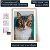 FR_01_Collage photo de chat