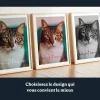 FR_02_Collage photo de chat