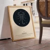 MAIN_IT_Scorpione-Stampa-del-Segno-Zodiacale