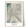 Packshot_EN_City-Map-Ithaca