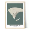 Framed personalized city map of Provincetown, USA, featuring the Cape Cod coastline, roads, surrounding natural areas, and geographic coordinates.