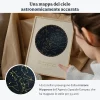 IT_04_Mappa-stellare-con-dettagli-in-lamina-d’oro